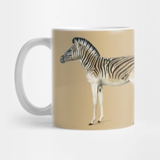 Vintage mountain zebra-animalia Mug